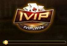 ivip-win